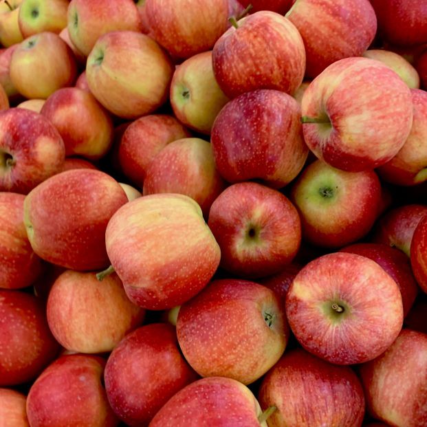Fresh apple in Sialkot