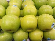 Fresh Granny-smith apple in Sialkot